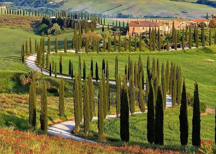 Agriturismo Baccoleno Asciano